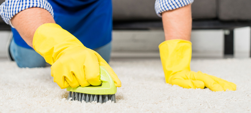 Carpet Cleaning Services Melbourne