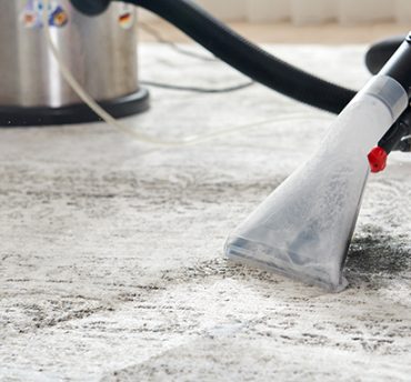 Understanding Professional Mould Removal – Your Guide to Expert Remediation Services