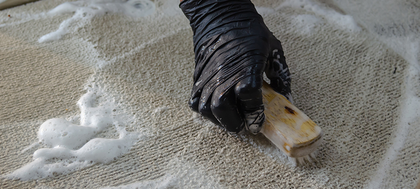 Mould remedy Specialist